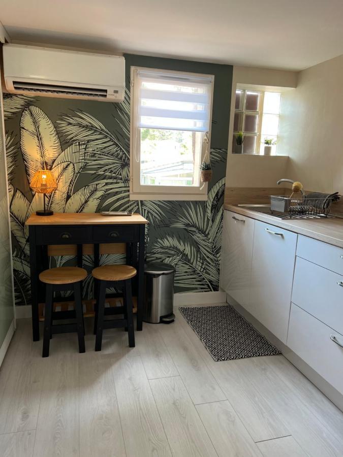 Appartement Proche Village Naturiste, Terrasse Et Parking 阿格德 外观 照片
